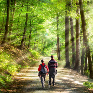 Méditation active - Des Branches et vous